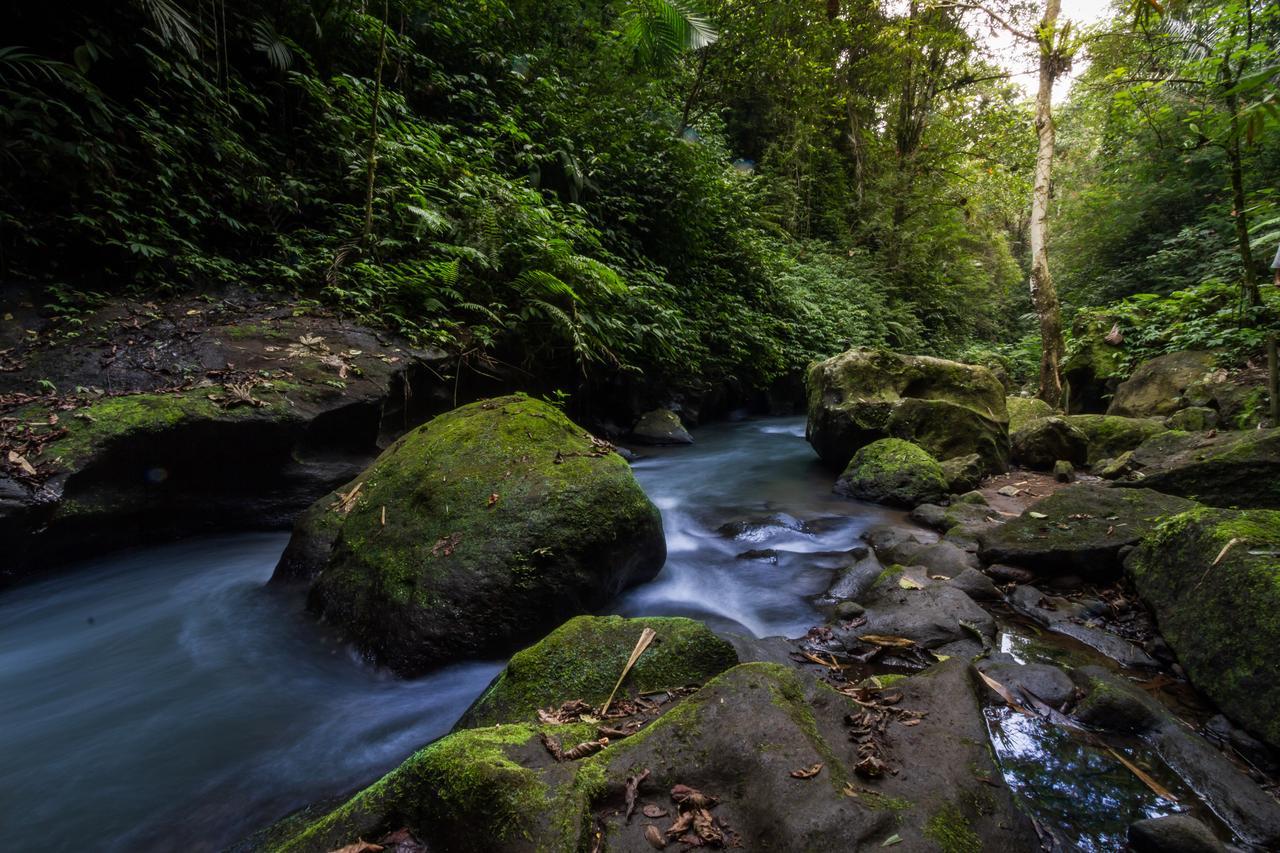 Bali Eco Adventure & Retreat Center Tegallalang (Bali) Exterior photo